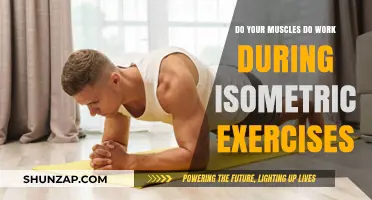 Do Muscles Work During Isometric Exercises? Unlocking the Truth