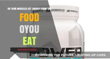 Fuel Your Fitness: How Nutrition Powers Your Muscles