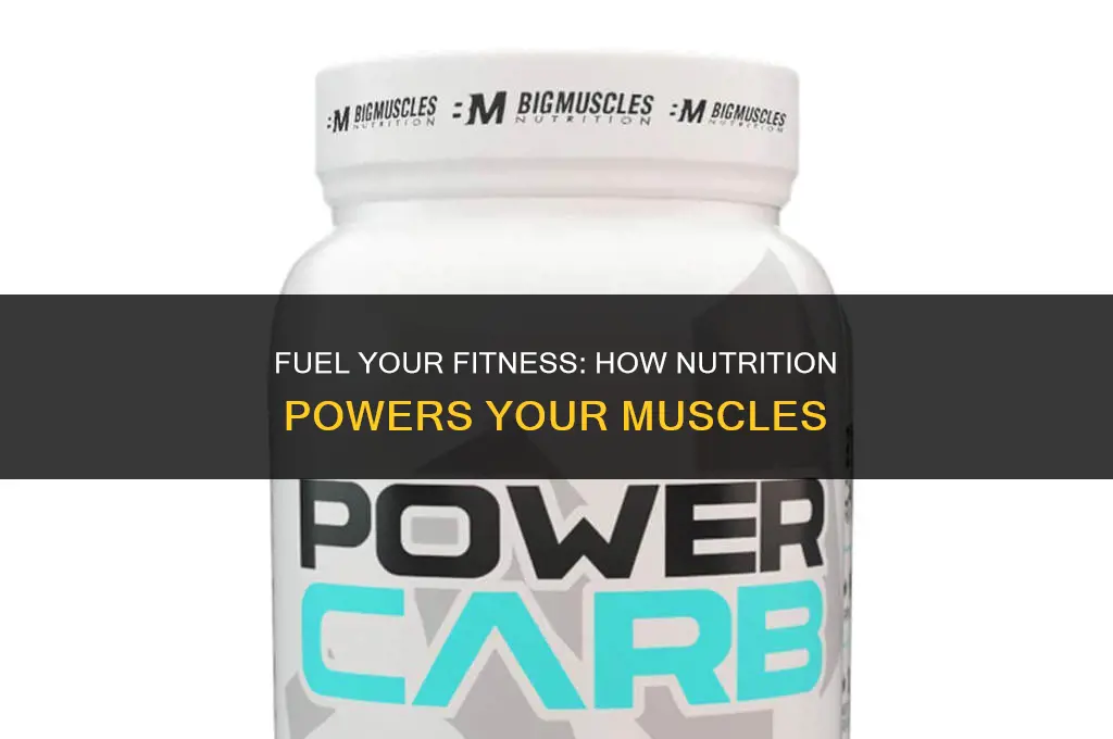 do your muscles get energy form the food oyou eat