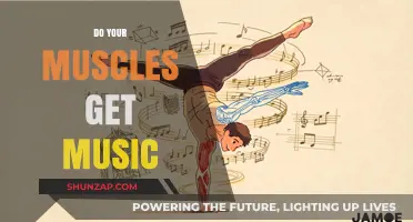 Do Your Muscles Get Music? Exploring the Science Behind Muscle Memory and Rhythm