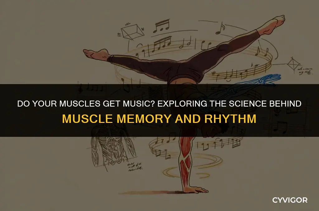 do your muscles get music