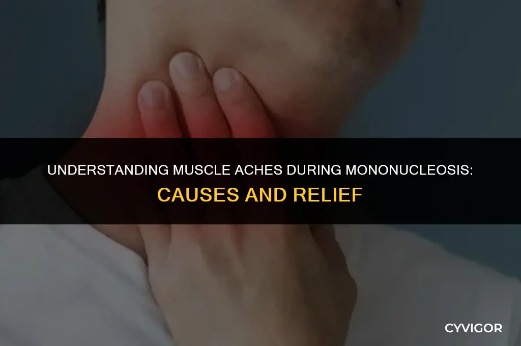 do your muscles get sore when you have mono