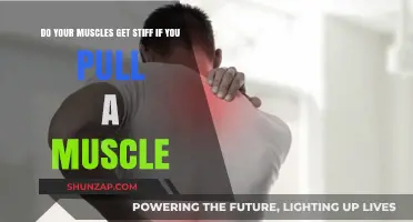 Muscle Stiffness After a Pull: Causes, Symptoms, and Recovery Tips