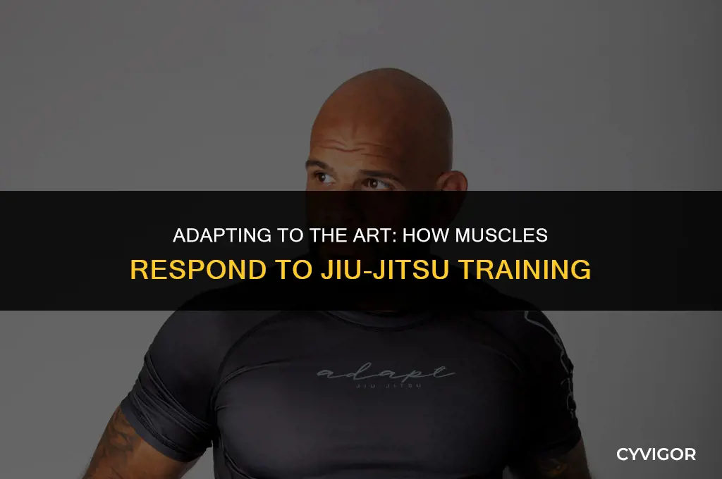 do your muscles get used to jujitsu