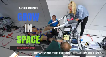 Muscle Growth in Space: How Microgravity Impacts Strength and Size