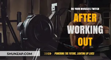 Why Muscles Twitch Post-Workout: Causes, Concerns, and Remedies Explained