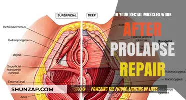 Rectal Muscle Function Post-Prolapse Repair: What to Expect