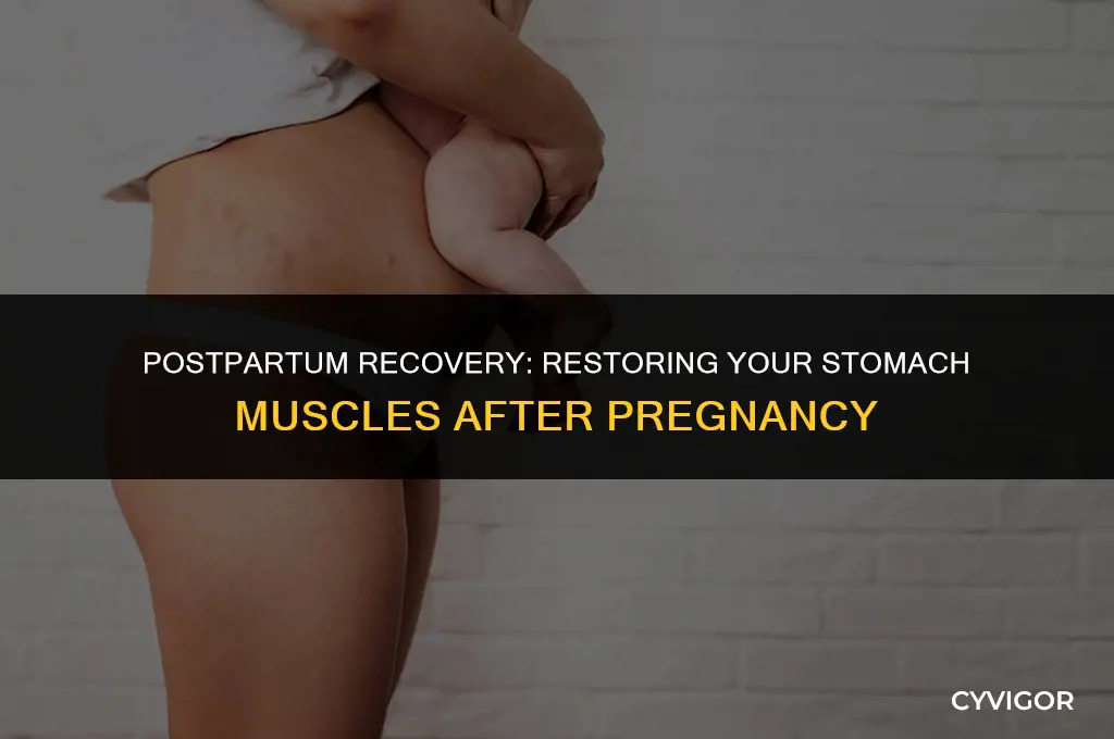 do your stomach muscles go back to normal after pregnancy
