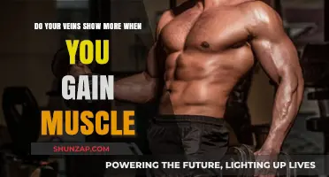 Muscle Gain and Vein Visibility: Understanding the Connection