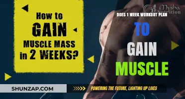 Effective One-Week Workout Plan for Muscle Gain: Is It Possible?