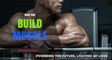 Unleashing Strength: The Power of 5x5 Workouts for Muscle Building