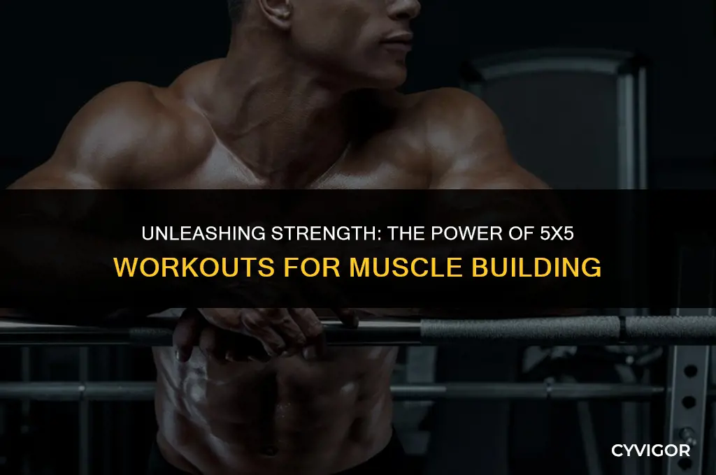 does 5x5 build muscle