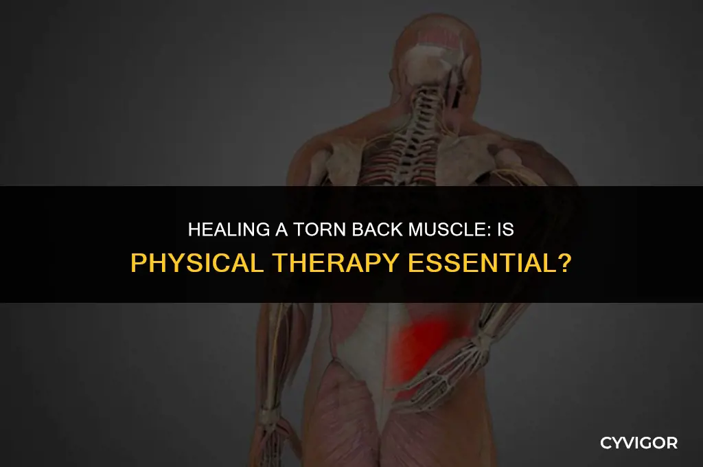 does a badly torn back muscle need pt