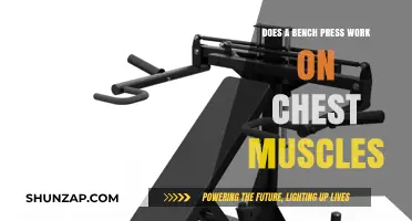 Does Bench Press Effectively Target and Build Chest Muscles?