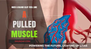 Blood Clot or Pulled Muscle: How to Tell the Difference