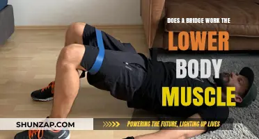 Bridge Exercise Benefits: Strengthening Lower Body Muscles Effectively