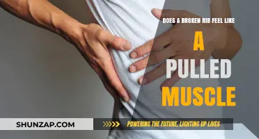 Broken Rib vs. Pulled Muscle: Understanding the Pain and Symptoms