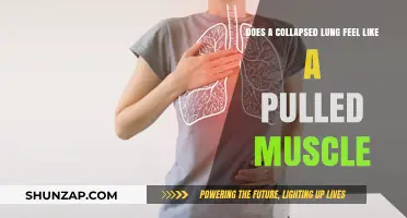 Collapsed Lung vs. Pulled Muscle: Recognizing the Pain and Symptoms