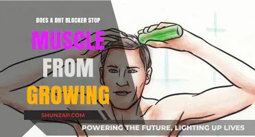 DHT Blockers and Muscle Growth: Fact or Fiction?