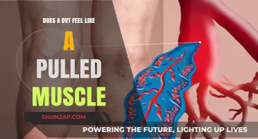 DVT vs. Pulled Muscle: Understanding the Pain and Symptoms