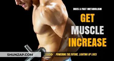 Metabolism and Muscle Gain: Unraveling the Connection