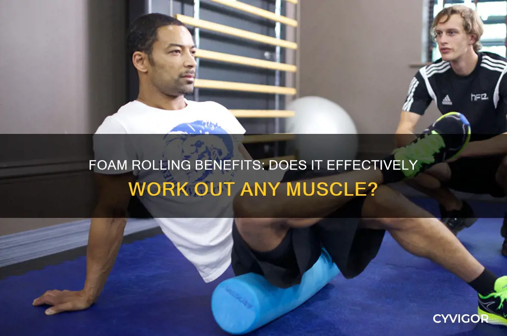 does a foam roller work out any muscle