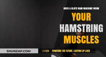Glute Ham Machine: Effective Hamstring Workout or Overhyped Equipment?