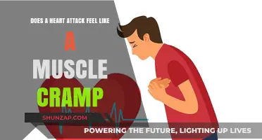 Heart Attack vs. Muscle Cramp: Understanding the Difference