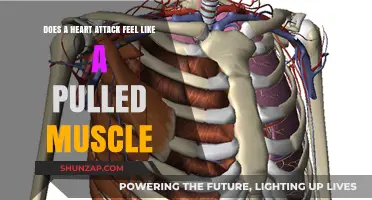 Heart Attack vs. Pulled Muscle: Recognizing the Difference in Symptoms