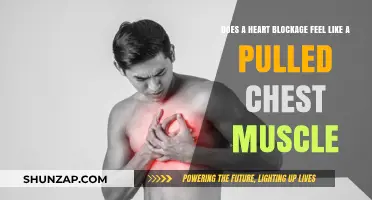 Heart Blockage vs. Pulled Chest Muscle: Symptoms and Differences Explained