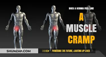 Understanding Hernias: Differentiating Between a Hernia and a Muscle Cramp