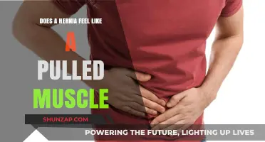 Hernia vs. Pulled Muscle: Understanding the Pain and Symptoms