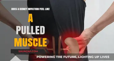 Kidney Infection vs. Pulled Muscle: Understanding the Pain and Symptoms