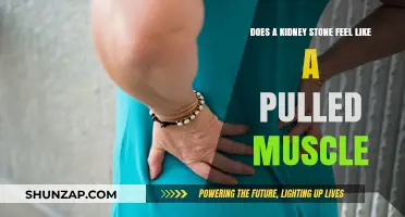 Kidney Stone Pain vs. Pulled Muscle: How to Tell the Difference