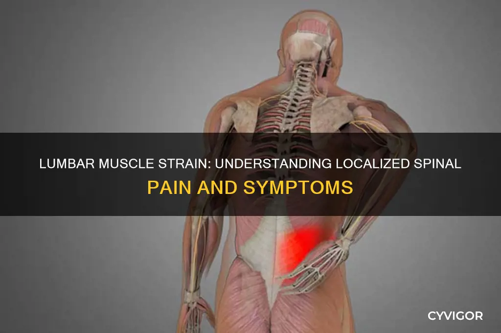 does a lumbar muscle strain have localized spinal pain