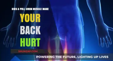 Can a Pulled Groin Muscle Cause Back Pain? Exploring the Connection