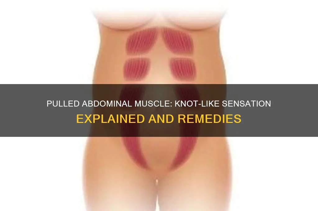 does a pulled abdominal muscle feel like a knot
