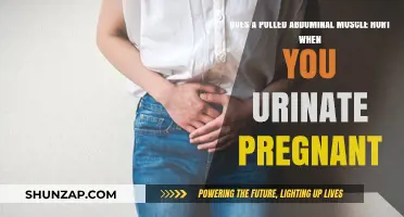Pregnancy and Pulled Abdominal Muscles: Urination Pain Explained