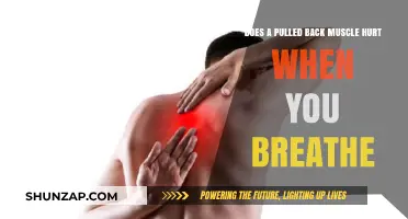 Pulled Back Muscle Pain: Does Breathing Aggravate the Discomfort?