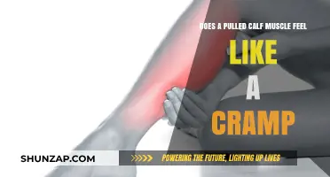 Pulled Calf Muscle vs. Cramp: Understanding the Pain and Symptoms