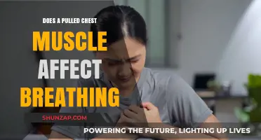 Pulled Chest Muscle: Impact on Breathing Explained and Remedies