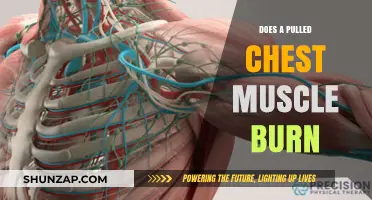 Pulled Chest Muscle Burning Sensation: Causes, Symptoms, and Relief Tips