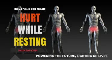 Pulled Groin Muscle Pain: Does It Persist During Rest?