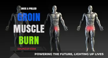 Pulled Groin Muscle: Understanding the Burning Sensation and Recovery