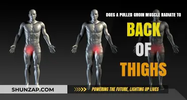 Pulled Groin Muscle: Can Pain Radiate to the Back of Thighs?