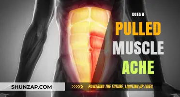 Pulled Muscle Pain: Understanding the Ache and Recovery Process