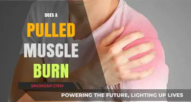 Pulled Muscle Burning Sensation: Causes, Symptoms, and Relief Explained