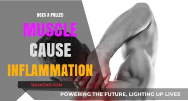 Pulled Muscles: Inflammation and How to Treat It