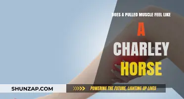 Pulled Muscle vs. Charley Horse: Understanding the Pain and Differences