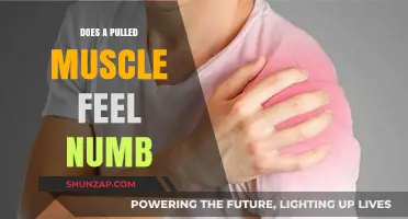 Pulled Muscle Numbness: Understanding the Sensation and Recovery Process